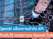 OpenAI บล็อกการเข้าถึง API