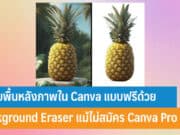 วิธีลบพื้นหลังภาพใน Canva แบบฟรี