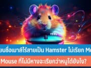 เปลี่ยนชื่อเมาส์ไร้สายเป็น Hamster