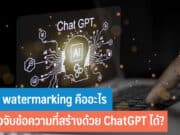 Text watermarking คืออะไร