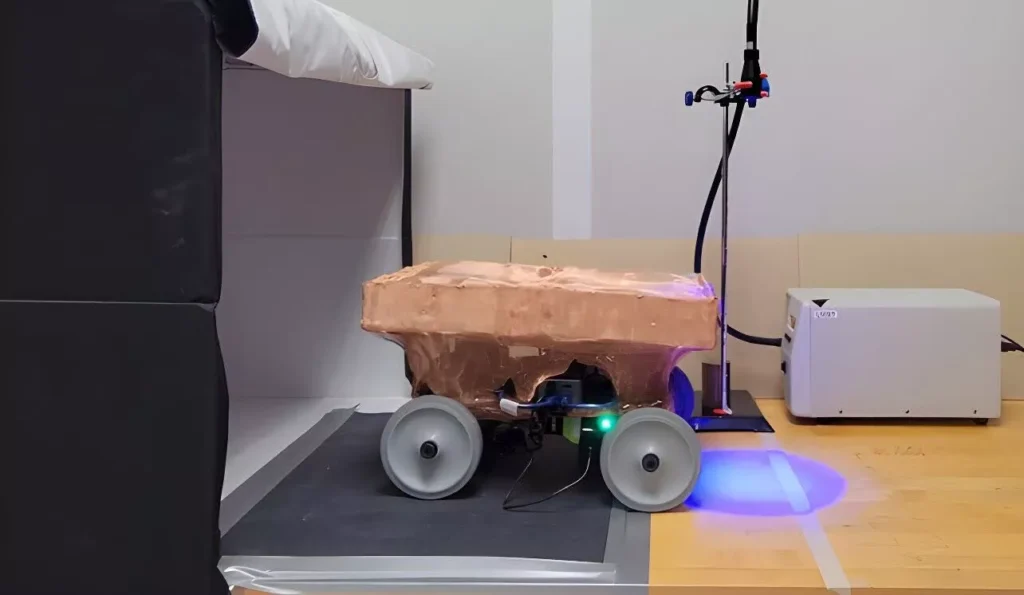 หุ่นยนต์เห็ด