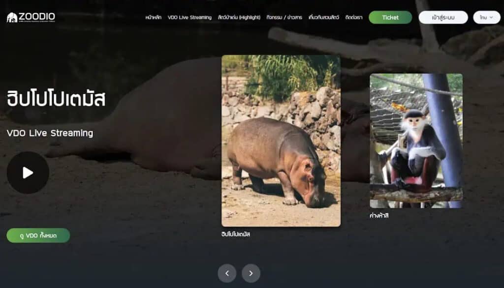 ดูหมูเด้งออนไลน์