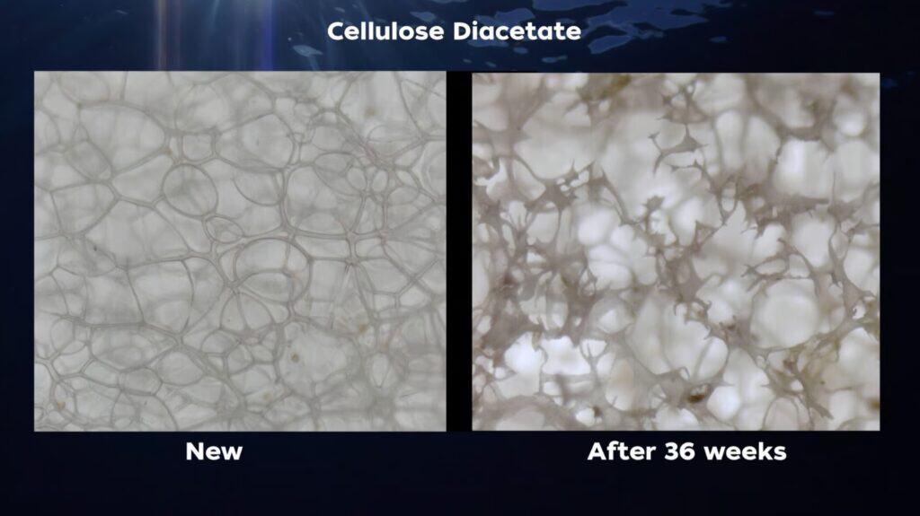 ไบโอพลาสติก CDA