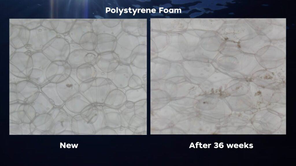 ไบโอพลาสติก CDA
