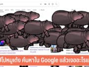 ฮิปโปหมูเด้ง