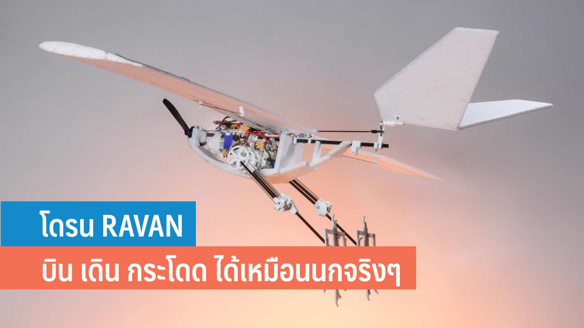RAVEN โดรนนกที่เดิน กระโดด และบินได้ - iT24Hrs