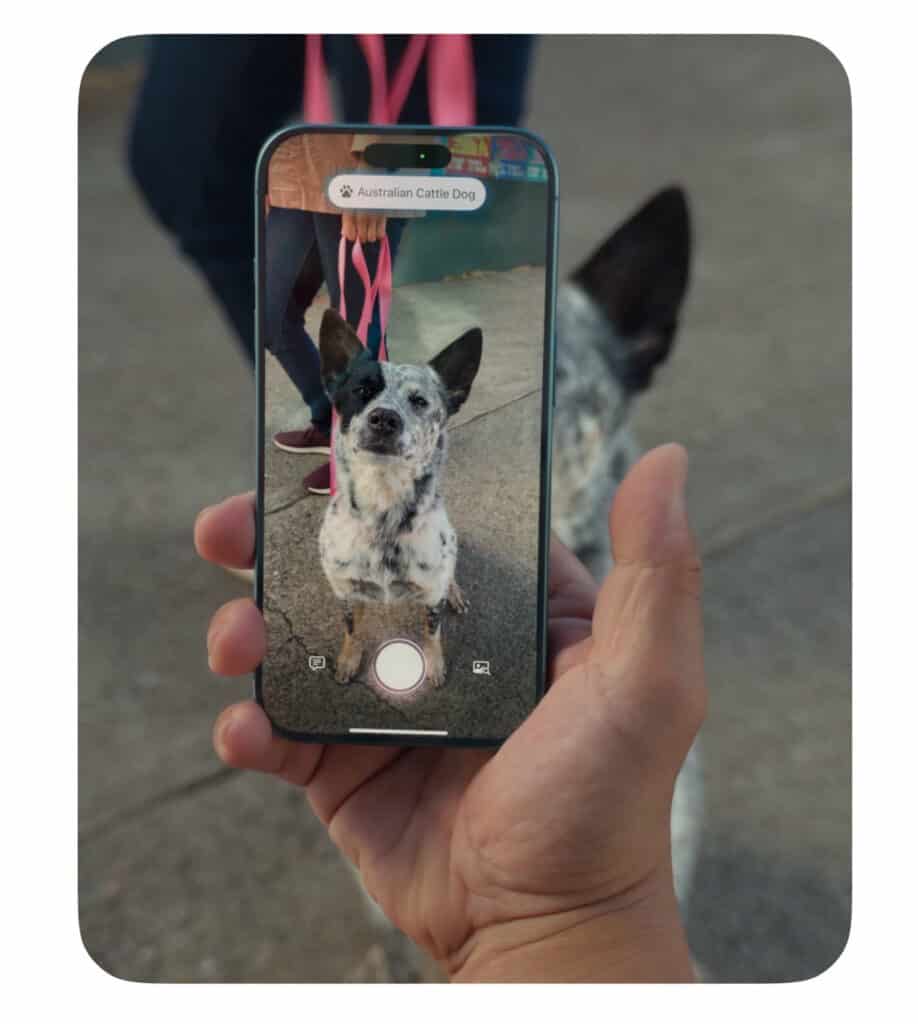 iOS18.3 มีอะไรใหม่บ้าง 