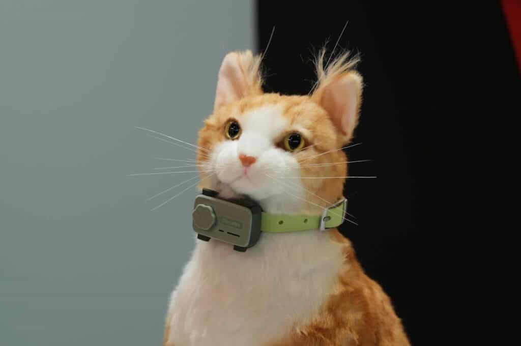 PetPhone สมาร์ทโฟนสำหรับสัตว์เลี้ยง 