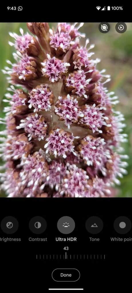 Ultra HDR ฟีเจอร์ใหม่บน Google Photos