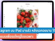 Instagram บน iPad