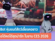 OlloBot หุ่นยนต์สัตว์เลี้ยงคอยาว