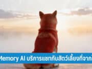 PetMemory AI บริการแชทกับสัตว์เลี้ยง