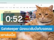 Cat Gatekeeper น้องแมวส้มนั่งทับจอ