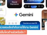 วิธีตรวจสอบขีดจำกัดการใช้งาน Gemini