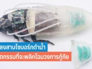 แมลงสาบไซบอร์กดำน้ำ